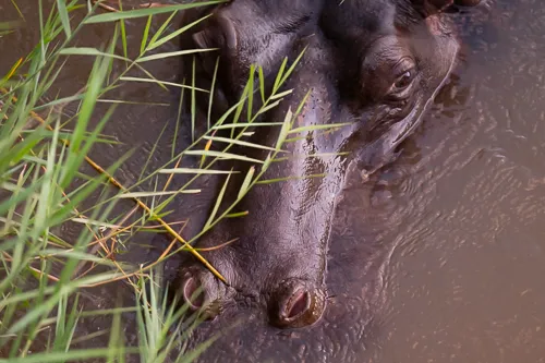 Kruger National Park