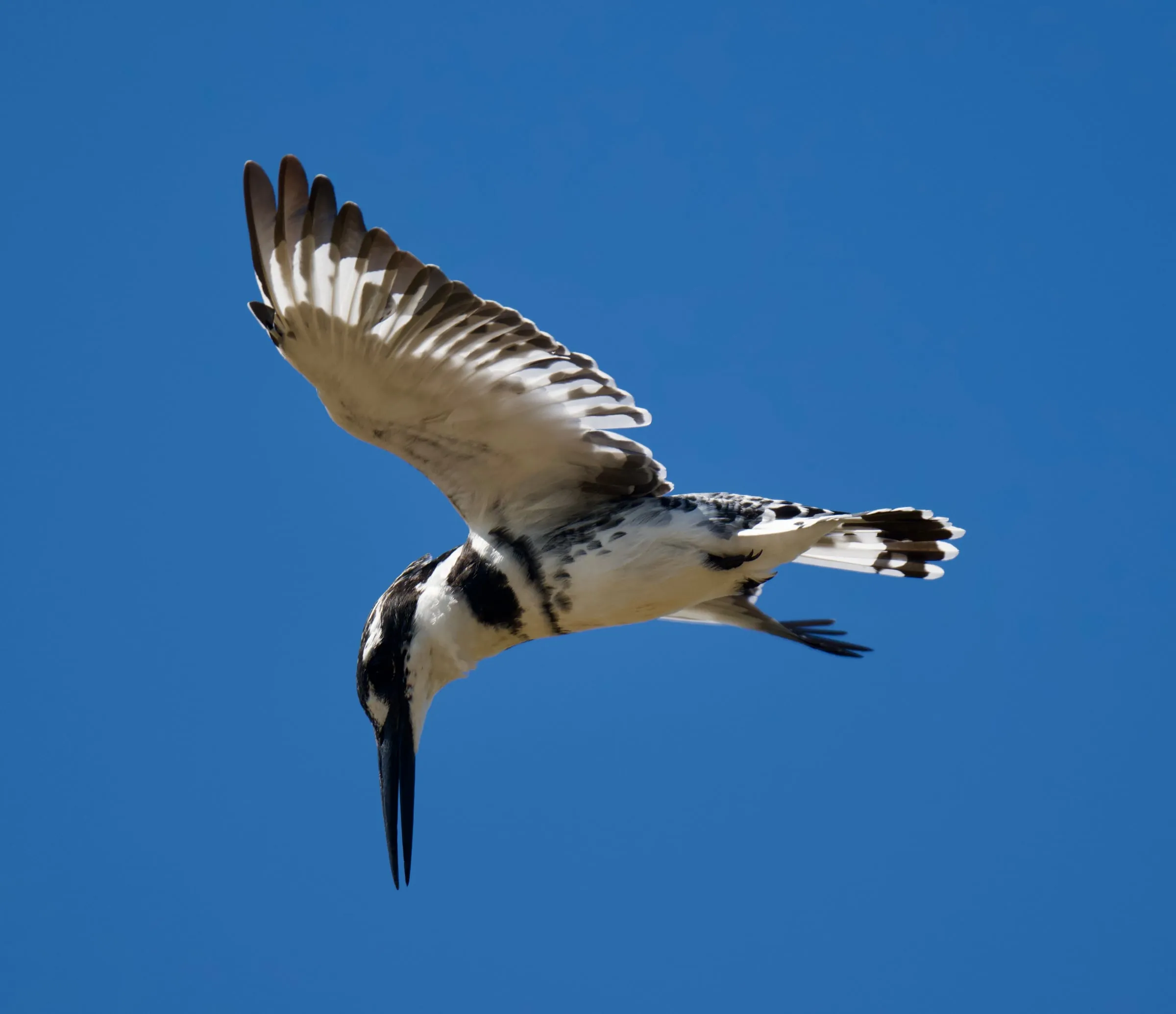 Kruger National Park